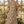 Load image into Gallery viewer, Dreamland Sunflower Garden Art Linen Maxi Dress