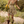 Load image into Gallery viewer, Dreamland Sunflower Sunshine Art Linen Mini Dress