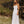 Load image into Gallery viewer, Sold out ~ Coastlines Organic Cotton Maxi Dress
