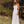Load image into Gallery viewer, Coastlines Organic Cotton Maxi Dress
